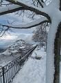 Neve (88)